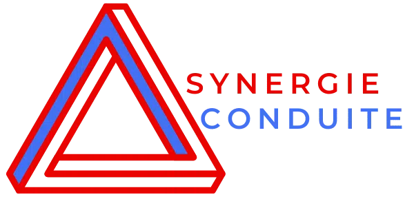 Synergie conduite